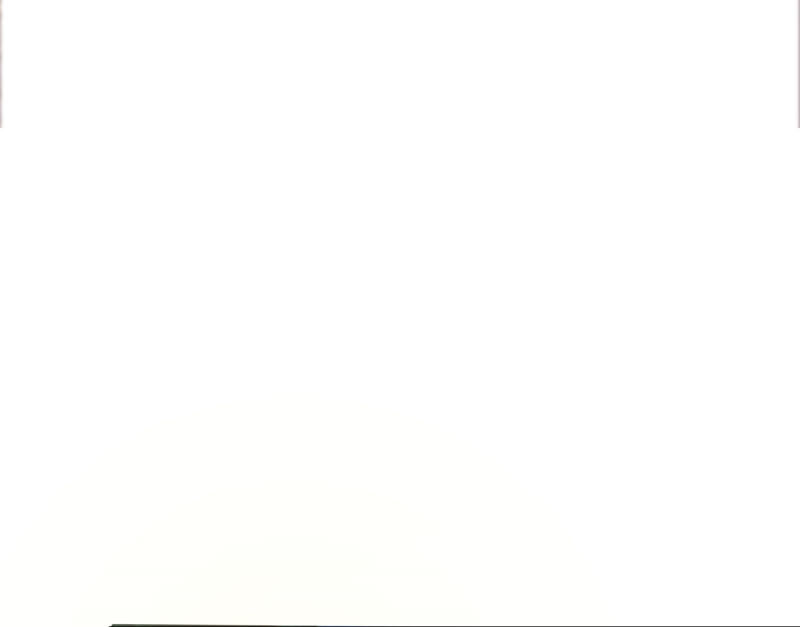 知君深情不易韩漫全集-第119话 前辈，为何伤十五？无删减无遮挡章节图片 