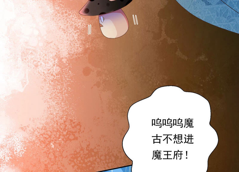 知君深情不易韩漫全集-第138话 十五是驸马？无删减无遮挡章节图片 