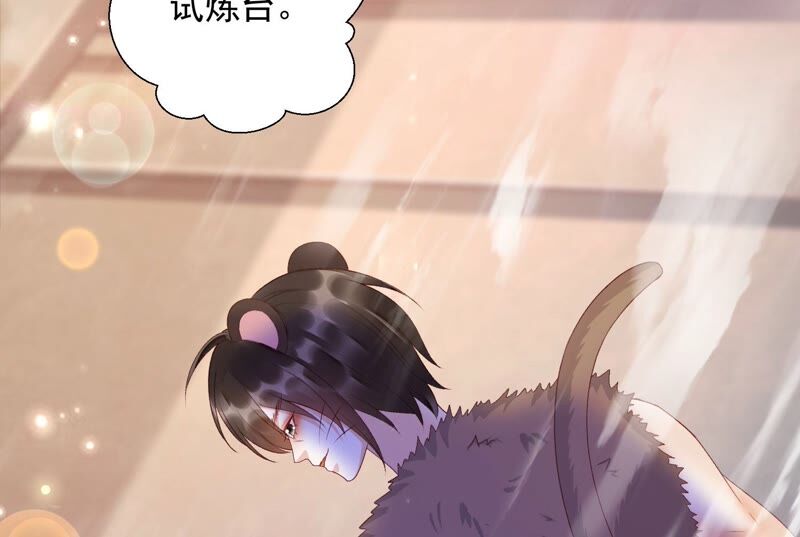 知君深情不易韩漫全集-第148话 不如来做我的侍女？无删减无遮挡章节图片 