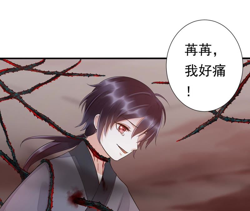 知君深情不易韩漫全集-第48话（上） 苒苒，抓住我！无删减无遮挡章节图片 