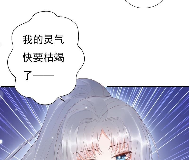 知君深情不易韩漫全集-第55话 攻击苒苒的，是十五？无删减无遮挡章节图片 