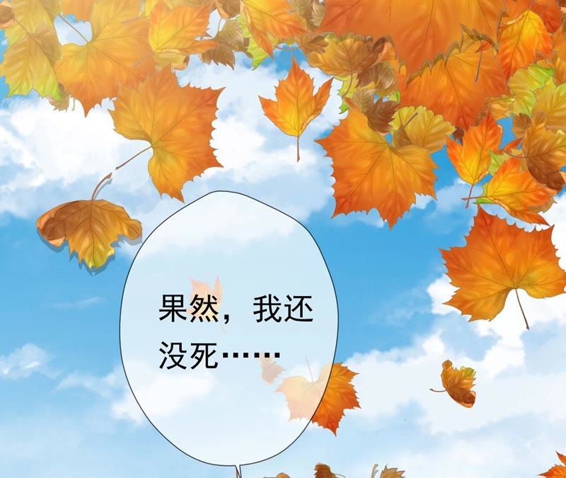 知君深情不易韩漫全集-第62话 要先找到月才行无删减无遮挡章节图片 