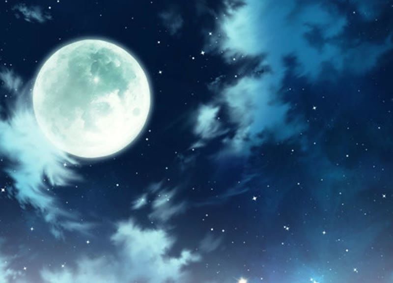 知君深情不易韩漫全集-第74话 苒苒，我回来了无删减无遮挡章节图片 