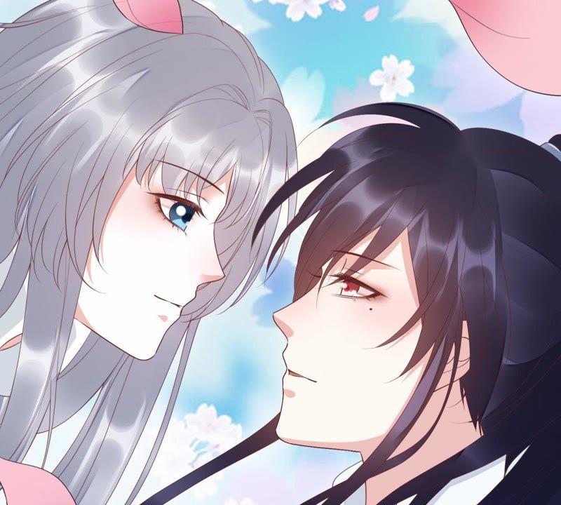 知君深情不易韩漫全集-第84话 我相信苒苒无删减无遮挡章节图片 