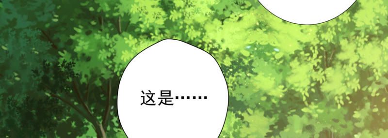 知君深情不易韩漫全集-第89话 出发去云归宫无删减无遮挡章节图片 