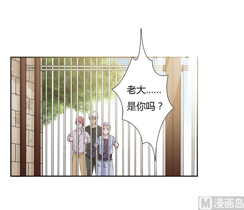 致命甜妻 男神纳命来韩漫全集-第25话 莫小黛怀孕无删减无遮挡章节图片 
