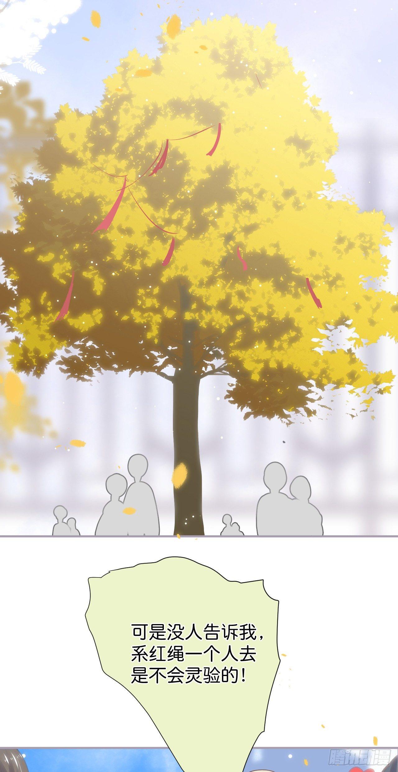 致命氧气韩漫全集-银杏树的浪漫~无删减无遮挡章节图片 