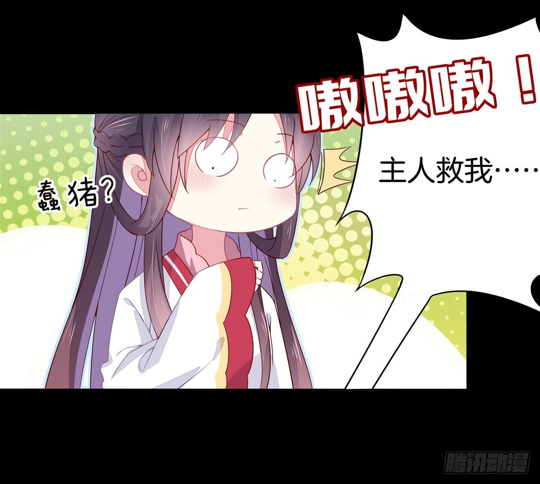 至尊瞳术师：绝世大小姐韩漫全集-第十二话 威胁无删减无遮挡章节图片 