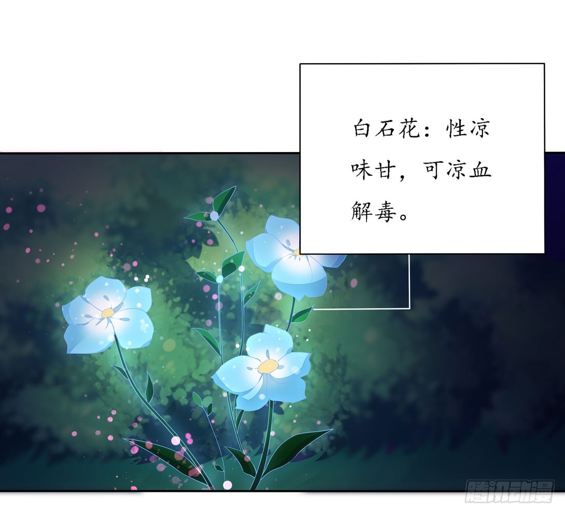 至尊瞳术师：绝世大小姐韩漫全集-第八话 到底为什么追我？无删减无遮挡章节图片 