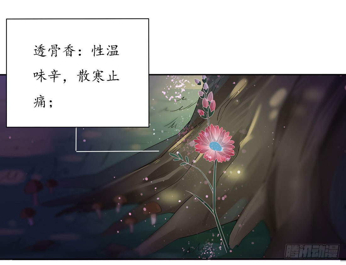 至尊瞳术师：绝世大小姐韩漫全集-第八话 到底为什么追我？无删减无遮挡章节图片 