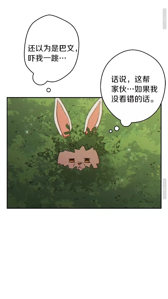 重启地下城韩漫全集-第37话 兔子的史诗技能！无删减无遮挡章节图片 