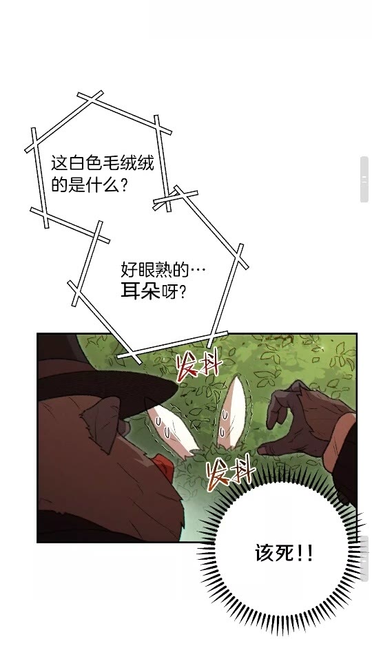 重启地下城韩漫全集-第37话 兔子的史诗技能！无删减无遮挡章节图片 