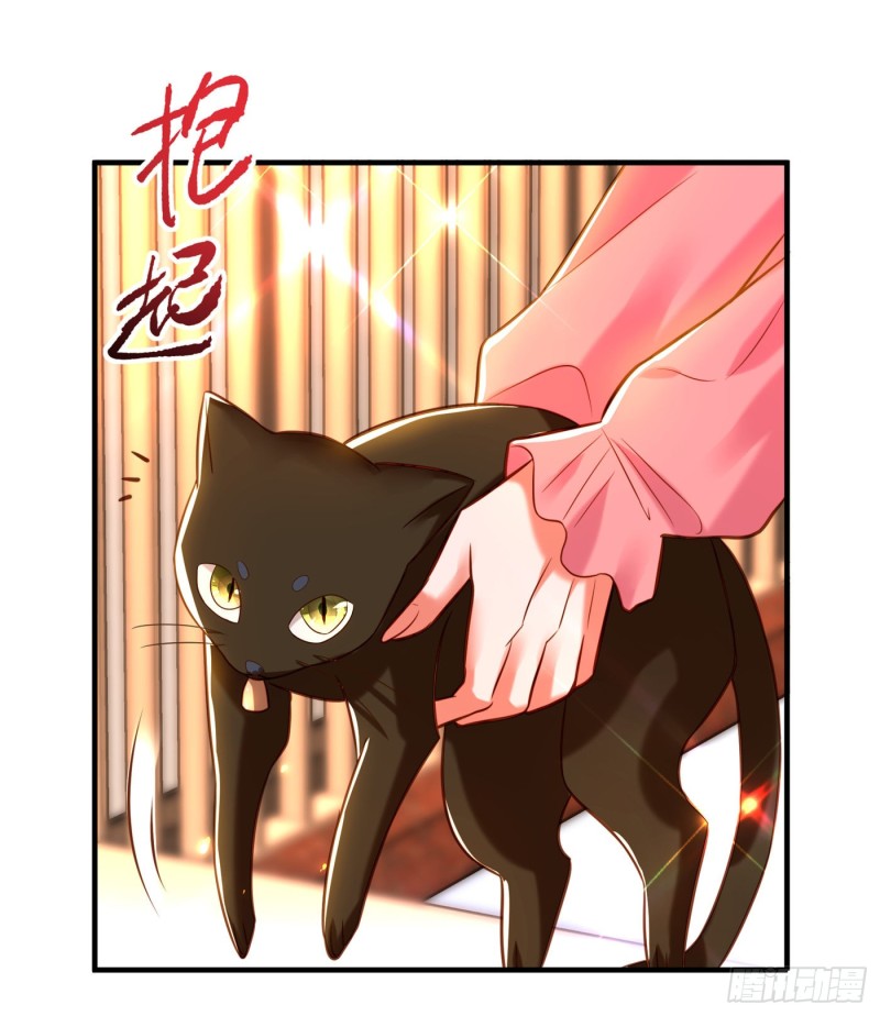 重生空间：大小姐不好惹韩漫全集-第252话 白晴月？她怎么在这无删减无遮挡章节图片 
