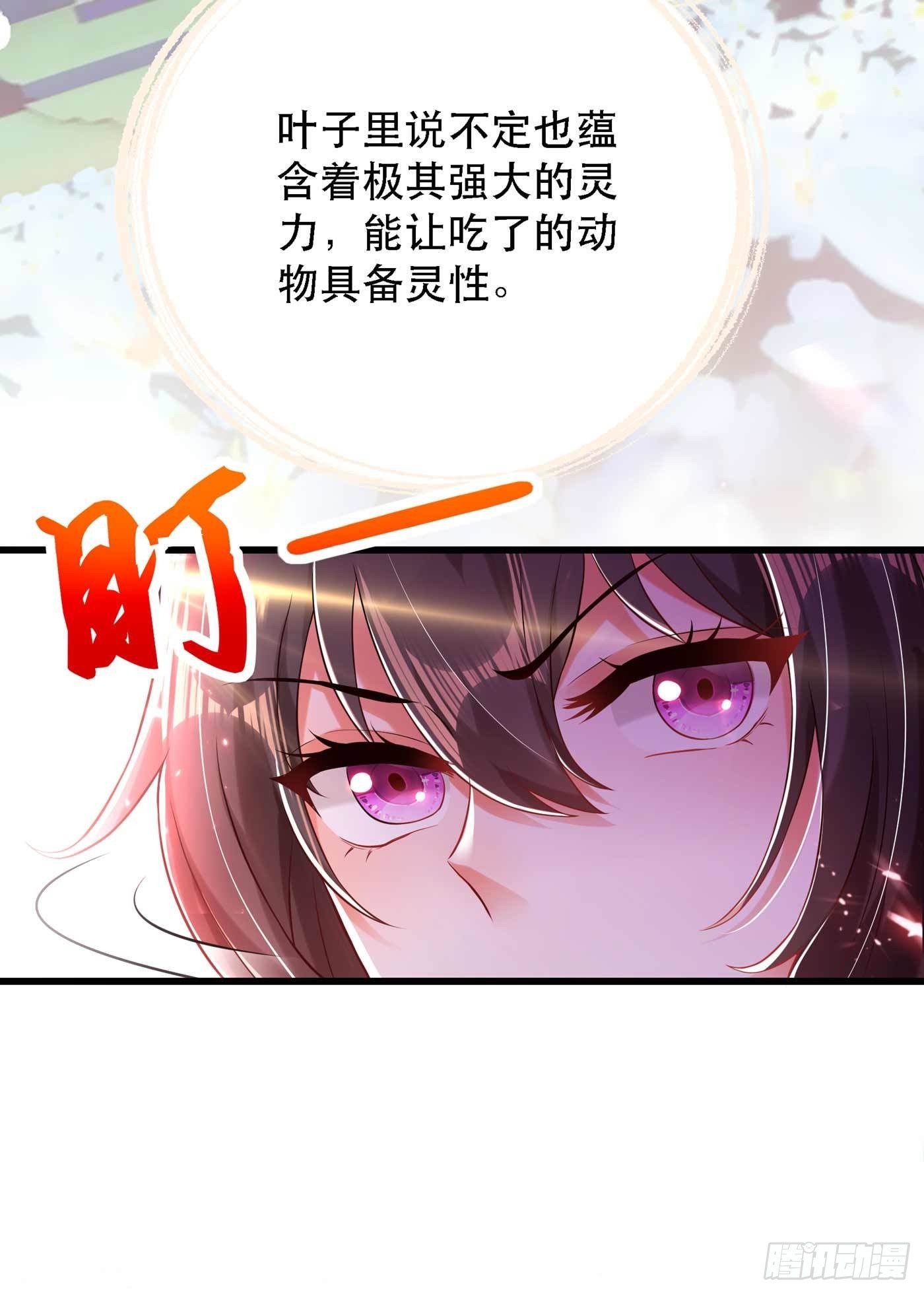 重生空间：大小姐不好惹韩漫全集-第57话 小黑，帮我个忙！无删减无遮挡章节图片 