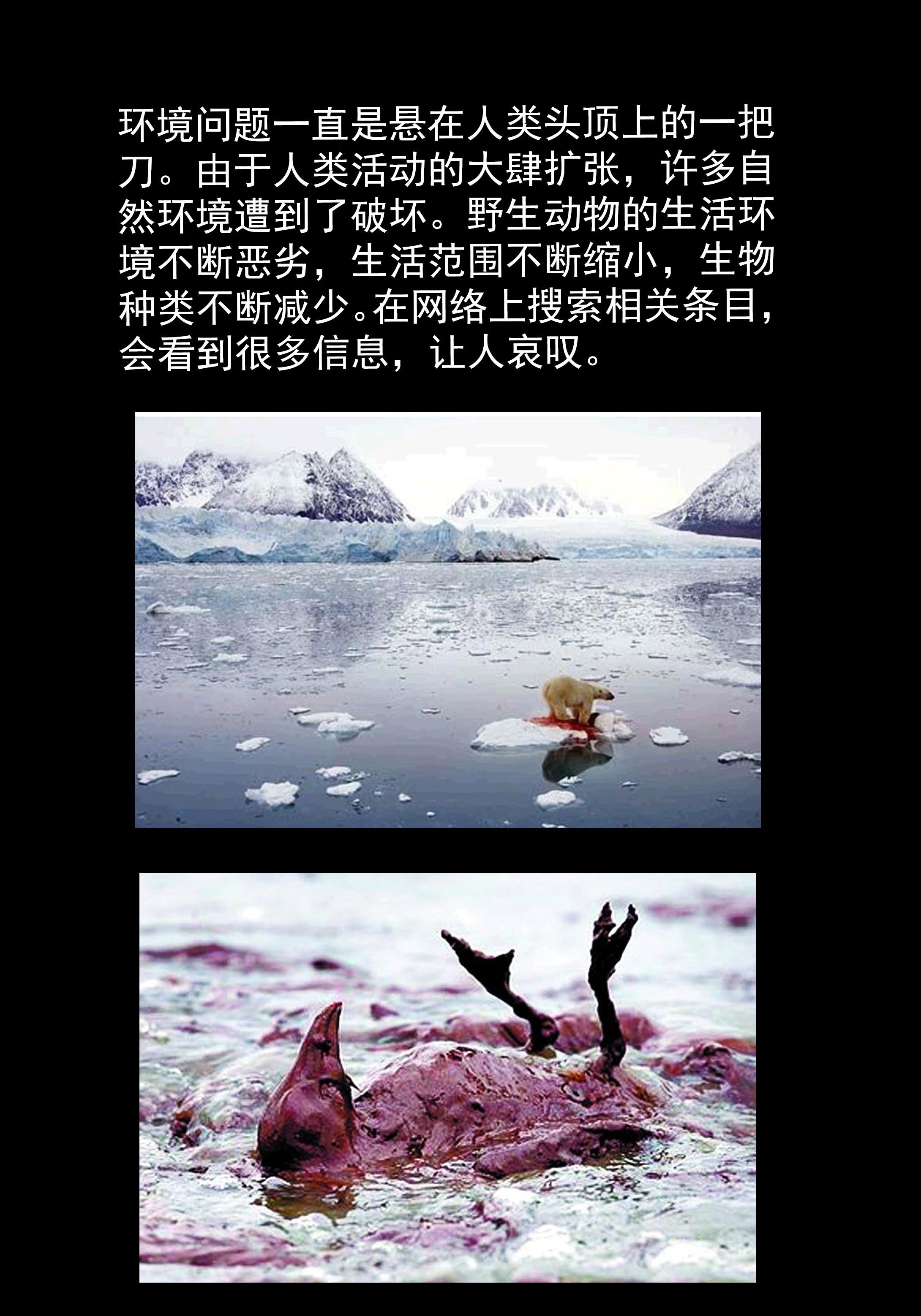 子夜来敲门韩漫全集-118动物园无删减无遮挡章节图片 