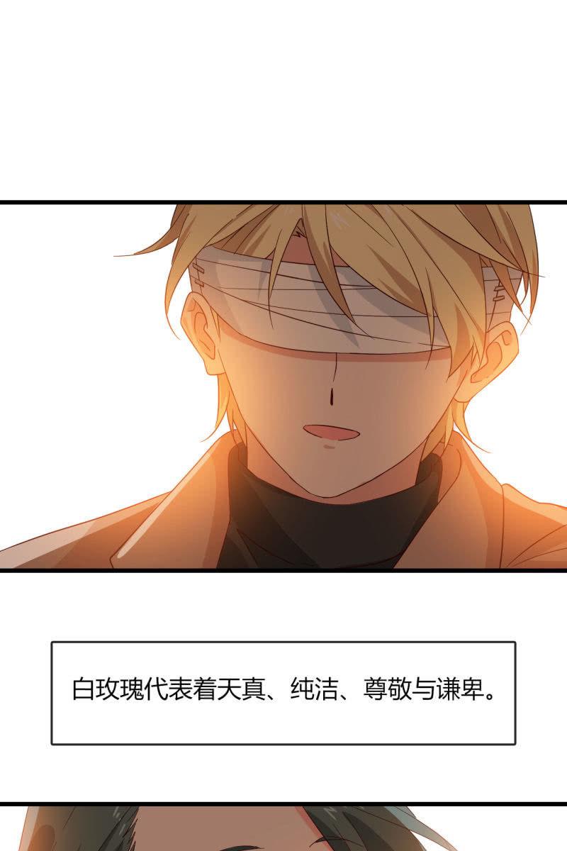 总裁大人的甜蜜小女巫韩漫全集-花语无删减无遮挡章节图片 