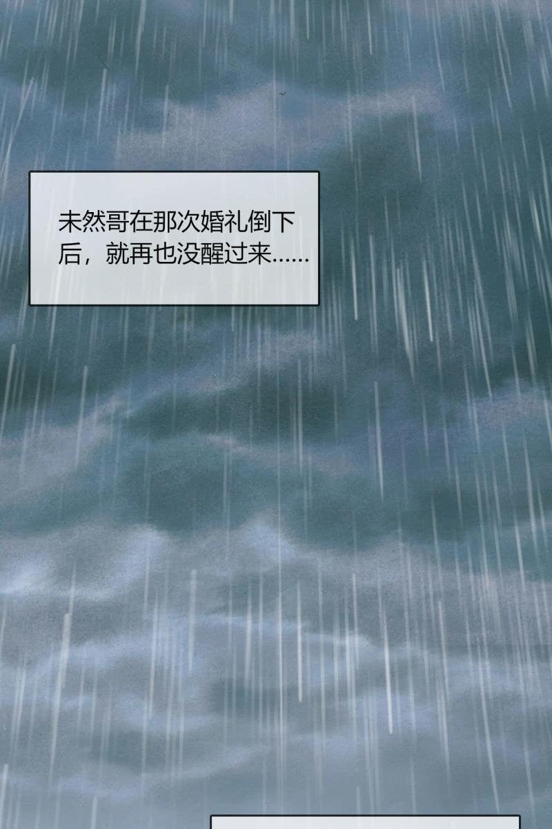 总裁大人的甜蜜小女巫韩漫全集-最后的婚礼无删减无遮挡章节图片 