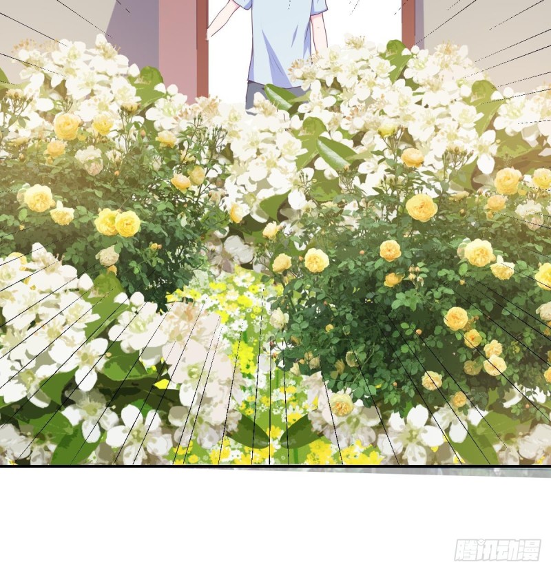 总裁的一周恋人韩漫全集-第77话 你这个笨蛋！无删减无遮挡章节图片 