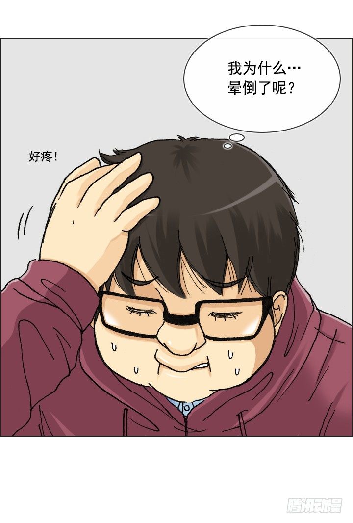 总裁千金x肥宅韩漫全集-郭培龙的阴谋无删减无遮挡章节图片 