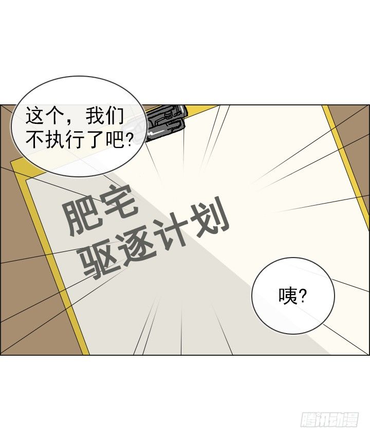 总裁千金x肥宅韩漫全集-作战计划取消无删减无遮挡章节图片 