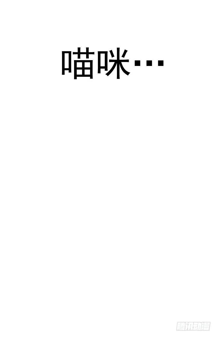 总裁千金x肥宅韩漫全集-喵咪酱之死无删减无遮挡章节图片 