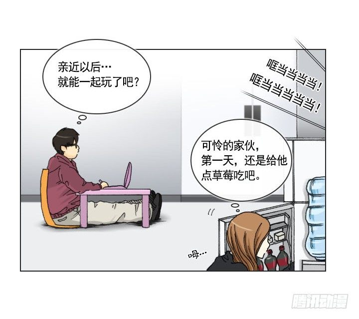 总裁千金x肥宅韩漫全集-胡萝卜汁的陷阱无删减无遮挡章节图片 