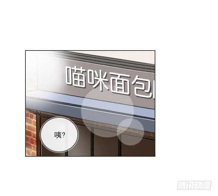 总裁千金x肥宅韩漫全集-塑料花友情无删减无遮挡章节图片 