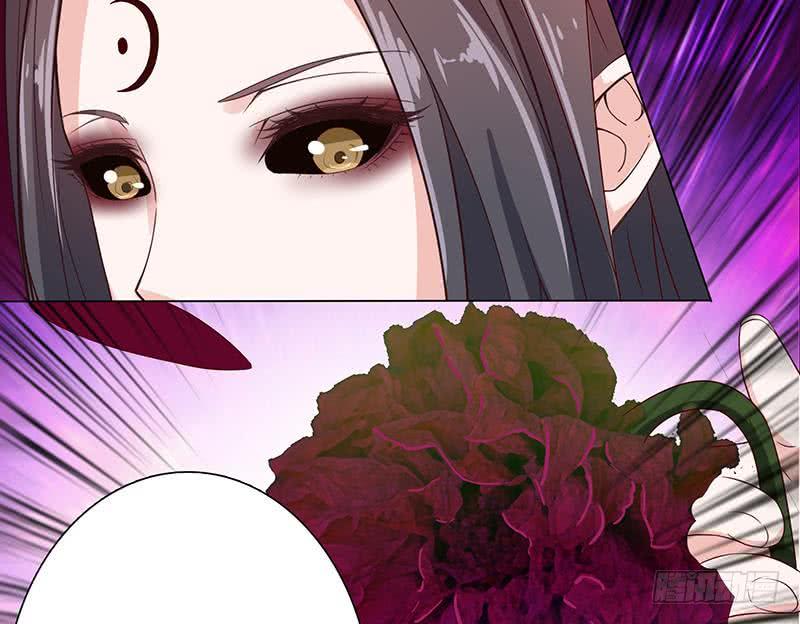 总有神仙想害我韩漫全集-第127话 绽放的代价无删减无遮挡章节图片 