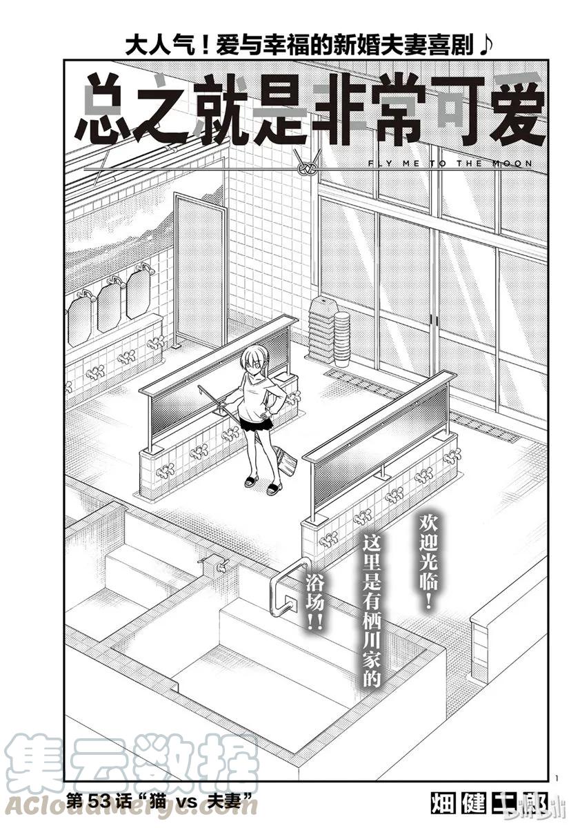 总之就是非常可爱韩漫全集-53 第53话“猫  vs  夫妻”无删减无遮挡章节图片 