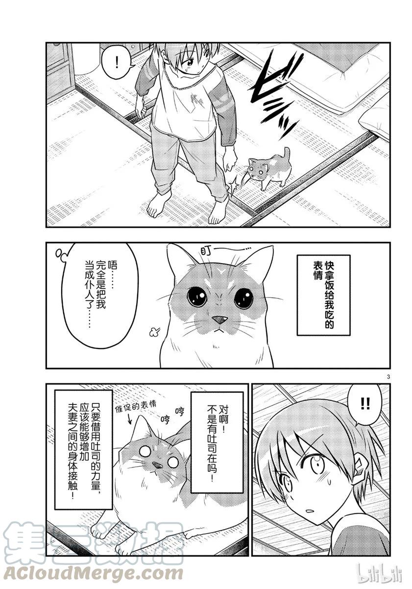 总之就是非常可爱韩漫全集-53 第53话“猫  vs  夫妻”无删减无遮挡章节图片 