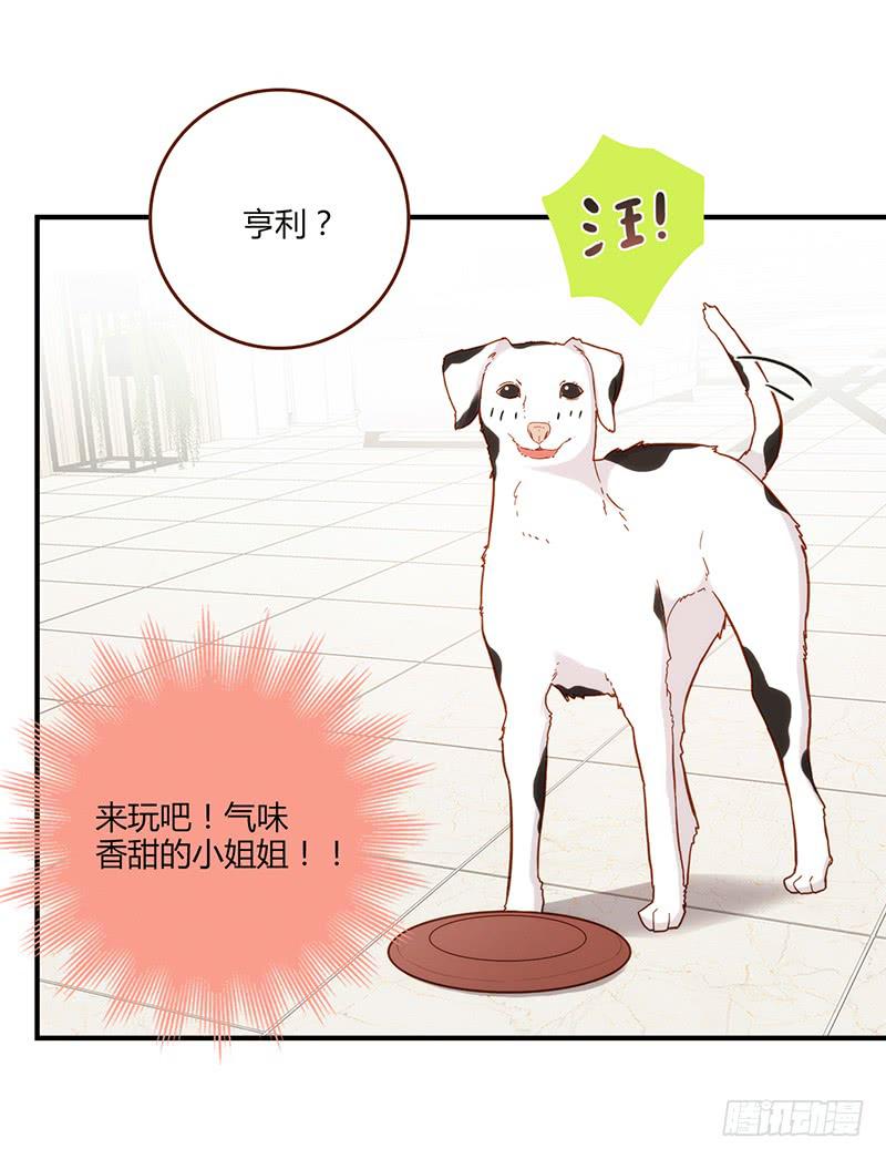 最差劲的痴情韩漫全集-108话 （更新）梦境奇缘-8无删减无遮挡章节图片 