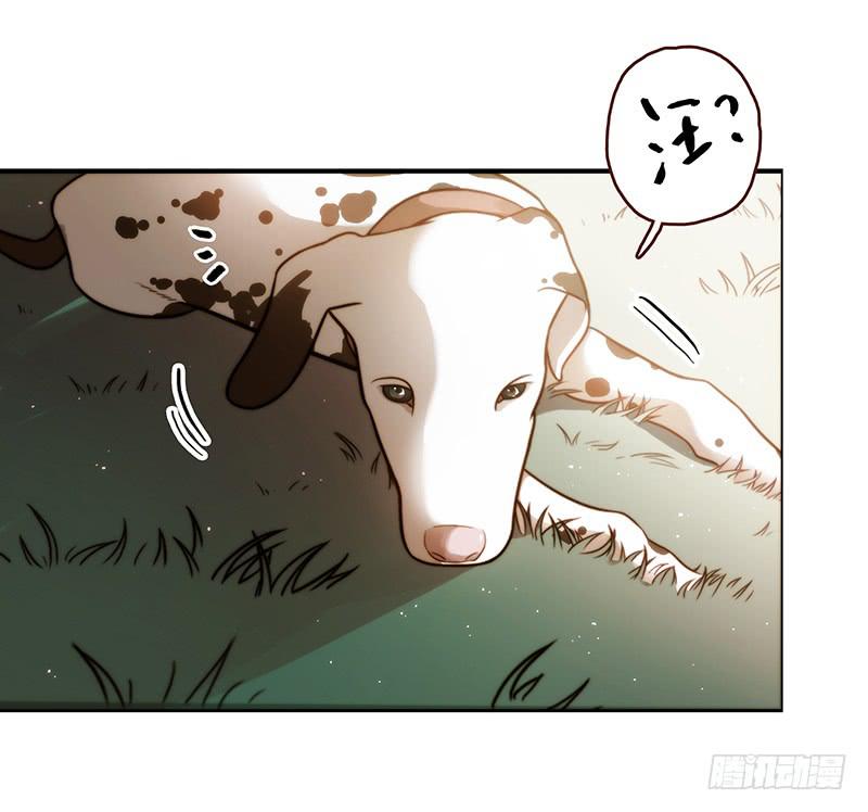 最差劲的痴情韩漫全集-10话 被软禁的花无删减无遮挡章节图片 