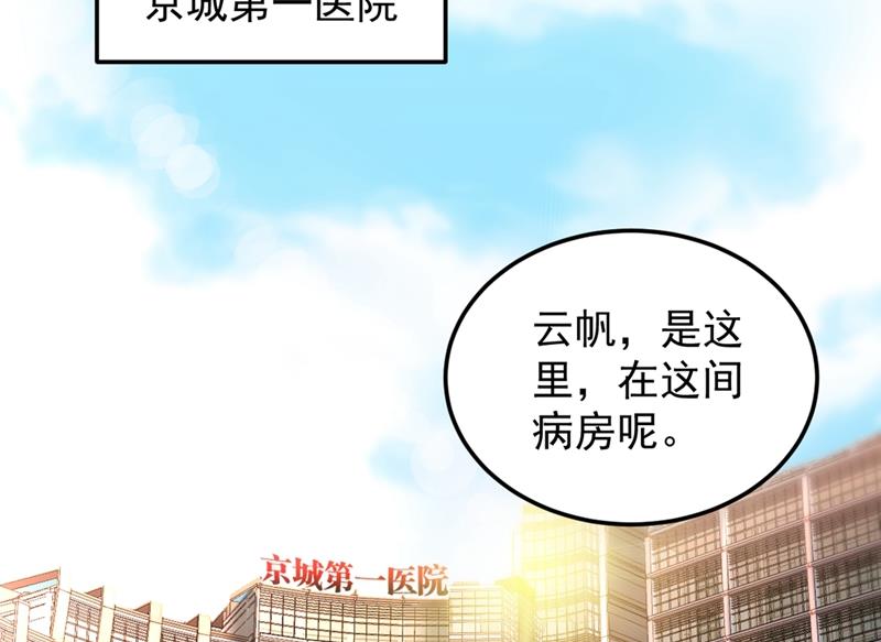 最强神医混都市韩漫全集-第120话 九窍如意玄丹无删减无遮挡章节图片 