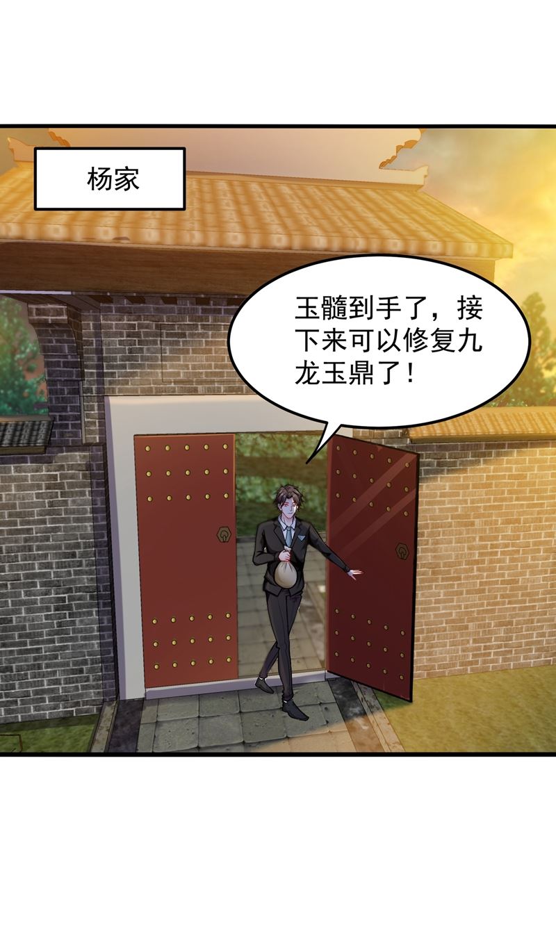 最强神医混都市韩漫全集-第133话 百花丸无删减无遮挡章节图片 