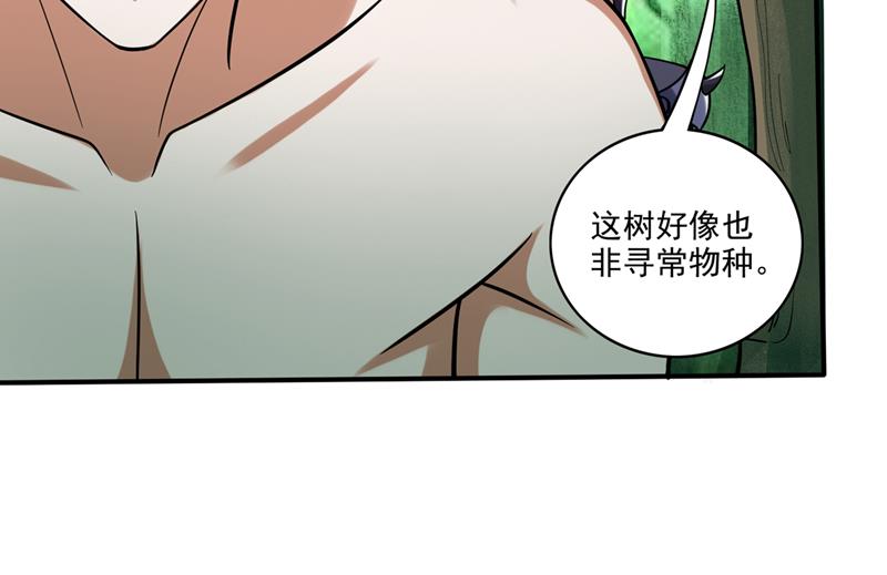最强神医混都市韩漫全集-第226话 禹皇的传承无删减无遮挡章节图片 