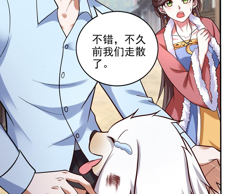 最强神医混都市韩漫全集-第241话 等我变强就去找你！无删减无遮挡章节图片 