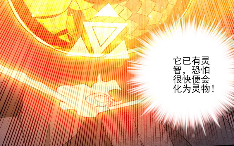 最强神医混都市韩漫全集-第248话 你敢抢我法器无删减无遮挡章节图片 