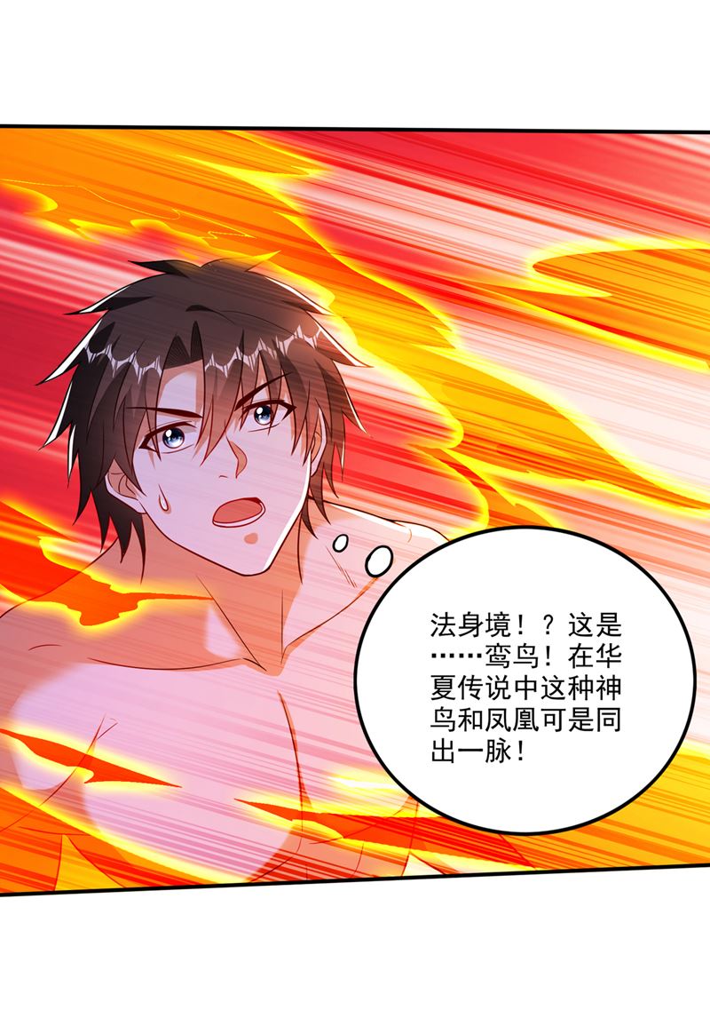 最强神医混都市韩漫全集-第253话 涅槃重生无删减无遮挡章节图片 