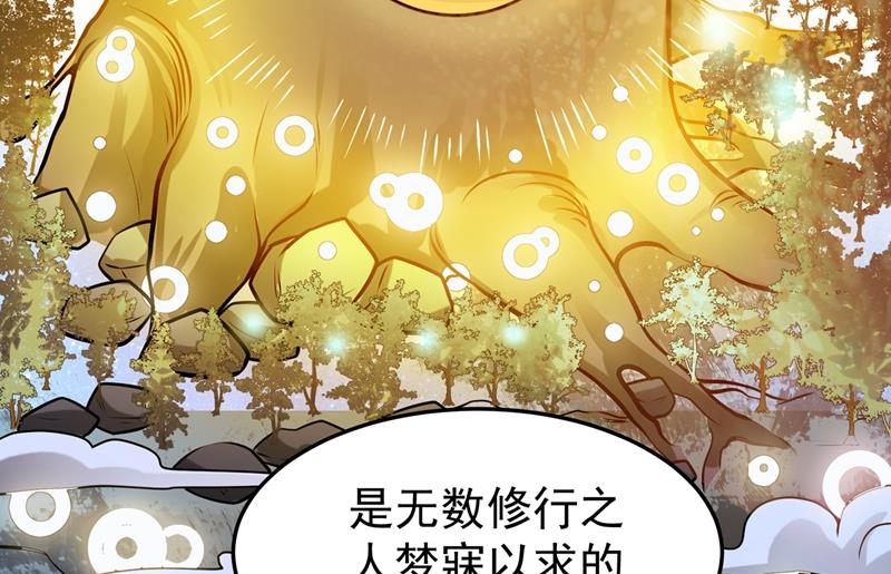 最强神医混都市韩漫全集-第62话 鸿蒙离火，一剑斩龙！无删减无遮挡章节图片 