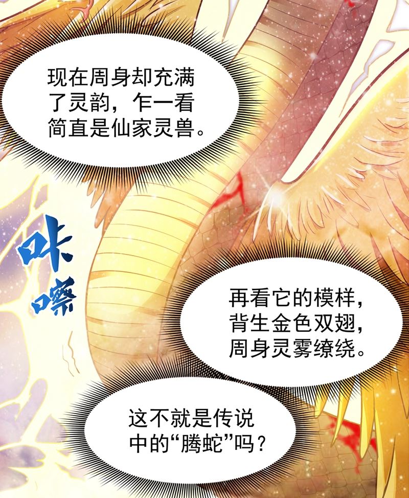 最强神医混都市韩漫全集-第71话 我就是你们的噩梦！无删减无遮挡章节图片 
