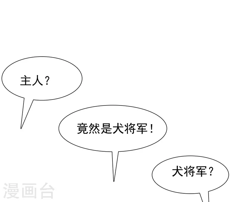 最强桃花运韩漫全集-第200话 把我的女人重新赢回来？？？无删减无遮挡章节图片 
