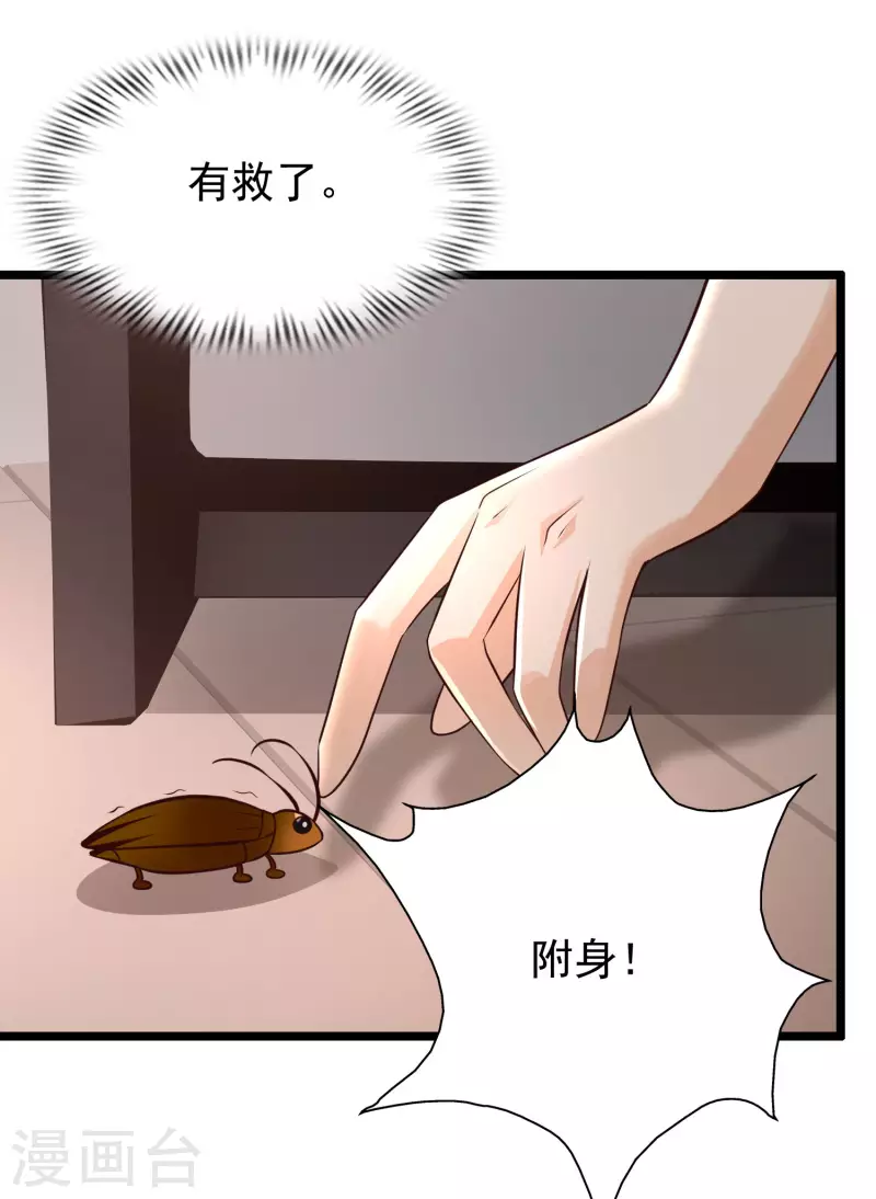 最强桃花运韩漫全集-第210话 女人之间的互爱？？？无删减无遮挡章节图片 