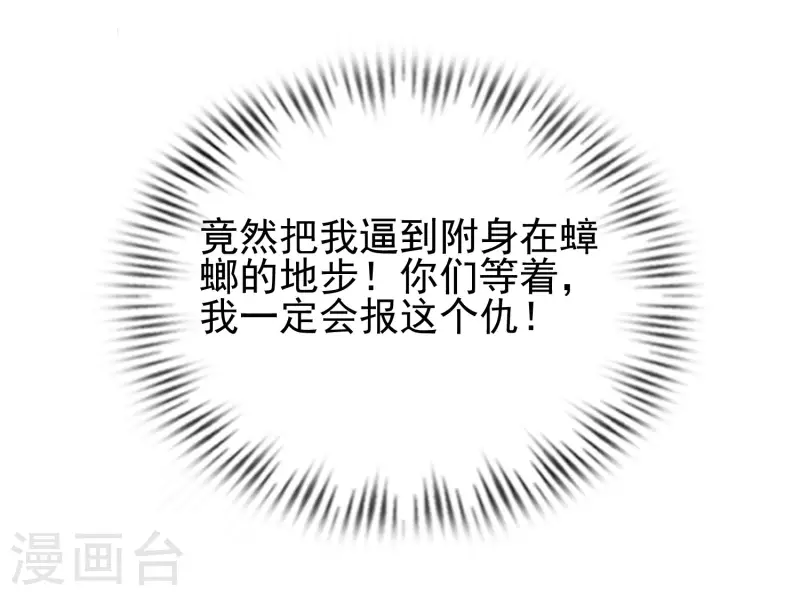 最强桃花运韩漫全集-第210话 女人之间的互爱？？？无删减无遮挡章节图片 