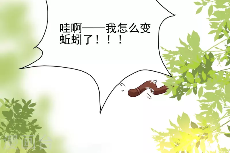 最强桃花运韩漫全集-第211话 没有弱点就是最大的弱点？？?无删减无遮挡章节图片 