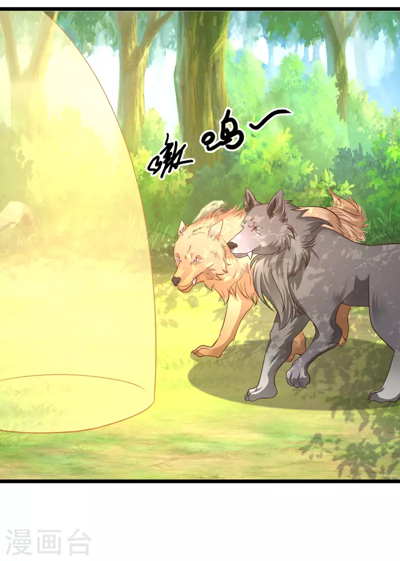 最强桃花运韩漫全集-第258话 我的宠物不可能这么熊？？？无删减无遮挡章节图片 