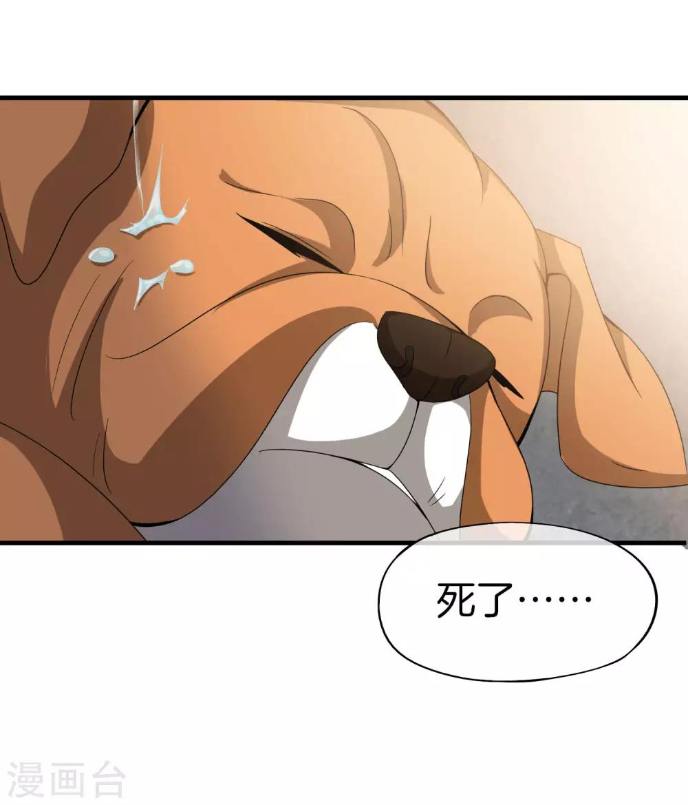 最强仙界朋友圈韩漫全集-第20话 天下太平黑无常！无删减无遮挡章节图片 
