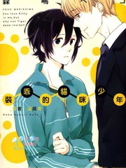 装乖的猫咪少年[耽美]
