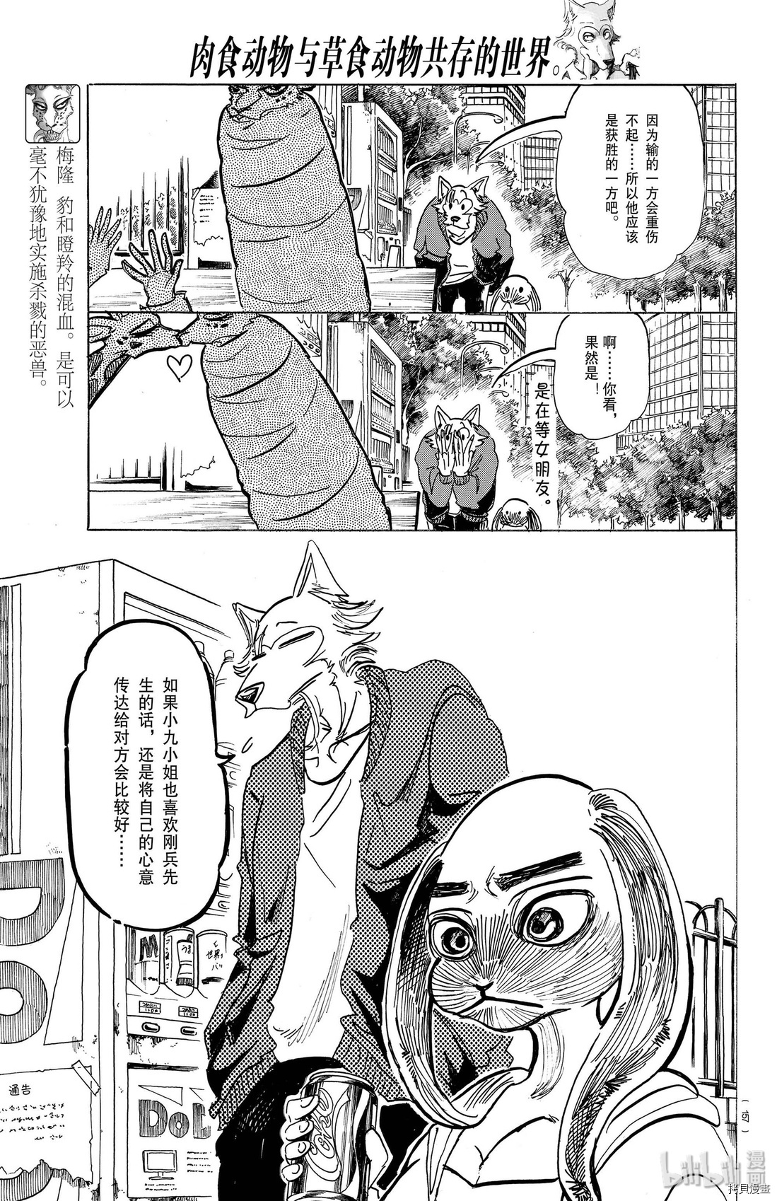 BEASTARS[拷贝漫画]韩漫全集-第169話无删减无遮挡章节图片 