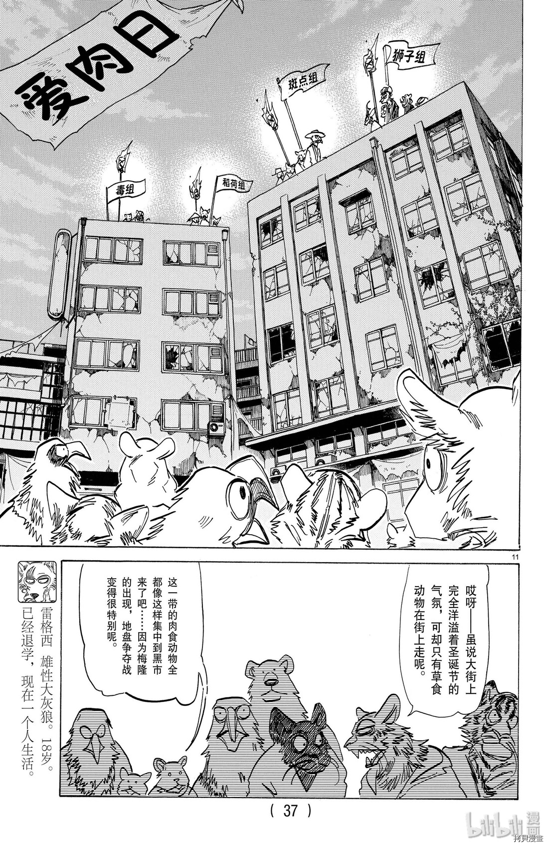BEASTARS[拷贝漫画]韩漫全集-第174話无删减无遮挡章节图片 