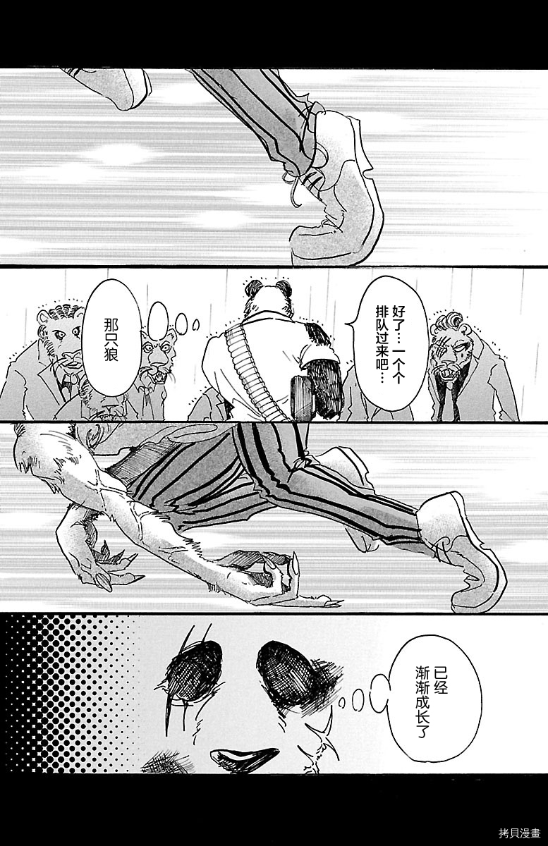 BEASTARS[拷贝漫画]韩漫全集-第40話无删减无遮挡章节图片 